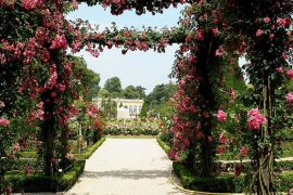 bagatelle- jardins da França